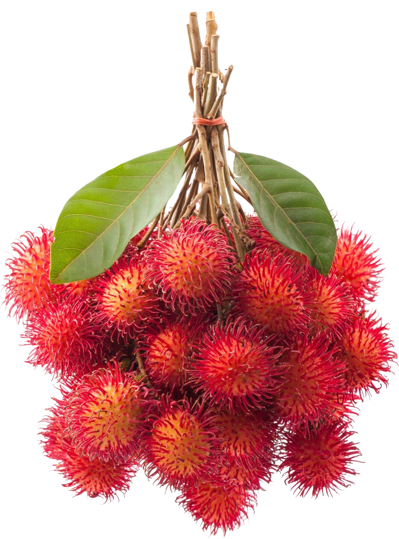 Foto JAJAKA KARAWANG